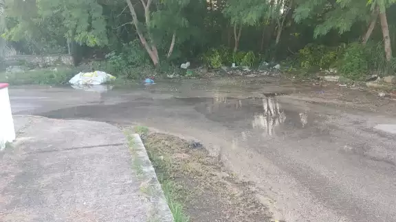 Las calles de esta colonia se mantienen encharcadas con aguas negras. Las calles de esta colonia se mantienen encharcadas con aguas negras.
