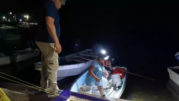 Se presume que las responsables también habrían tenido en su poder ejemplares de cacerolita de mar, especie en peligro de extinción
