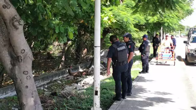 Misterio en el manglar: rescatan a hombre con signos de abandono