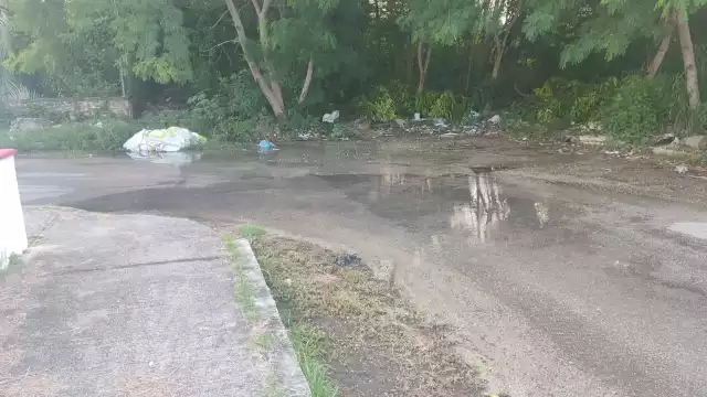 Las calles de esta colonia se mantienen encharcadas con aguas negras.