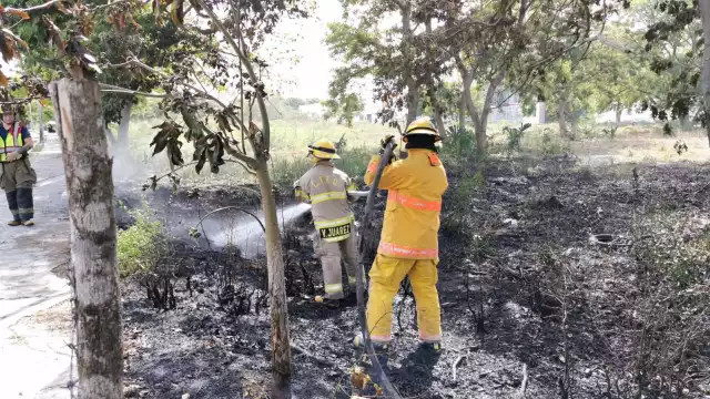 Incendio en Malibrán moviliza a cuerpos de emergencia