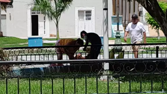 Niño de 10 años de Bacabchén vende frutas para ganar dinero, ayudar a su familia y cumplir su sueño de ser maestro Niño de 10 años de Bacabchén vende frutas para ganar dinero, ayudar a su familia y cumplir su sueño de ser maestro