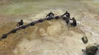 Sur de Quintana Roo invadido por sargazo