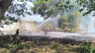 Bomberos controlan incendio en las áreas verdes del CEDAR en Escárcega