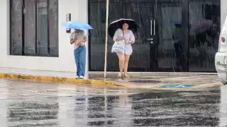 Una aeronave caza huracanes está en camino para investigar zona de inestabilidad en el Golfo de México; Seprocicam