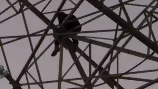"Me voy a matar"; gritó hombre  tras subir a una torre de alta tensión 