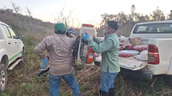 Las mangas de langostas ponen en peligro a las abejas del estado. Las mangas de langostas ponen en peligro a las abejas del estado.
