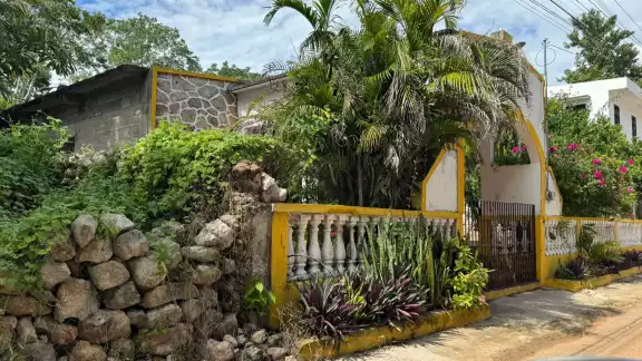 Vecinos exigen acción ante peligro que representa “Chicorita” Vecinos exigen acción ante peligro que representa “Chicorita”