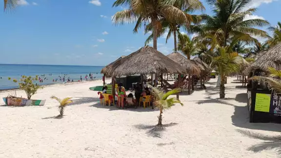 Los visitantes eran del Estado de México, Chiapas, Tabasco y Yucatán, así como de Francia, Holanda y Alemania.