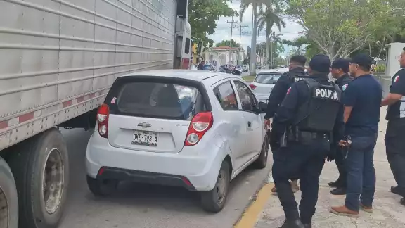 Tráiler queda atascado tras impactarse con árbol en el barrio de San Francisco Tráiler queda atascado tras impactarse con árbol en el barrio de San Francisco