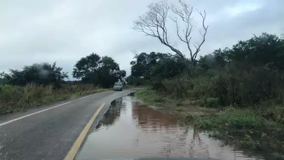 El huracán Milton no causó daños significativos en la región chenera de Campeche, solo lluvias ligeras y algunos árboles caídos El huracán Milton no causó daños significativos en la región chenera de Campeche, solo lluvias ligeras y algunos árboles caídos