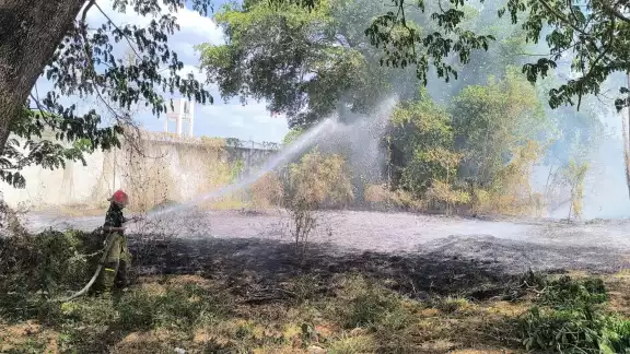 El fuego avanzó rápidamente debido a los fuertes vientos. El fuego avanzó rápidamente debido a los fuertes vientos.