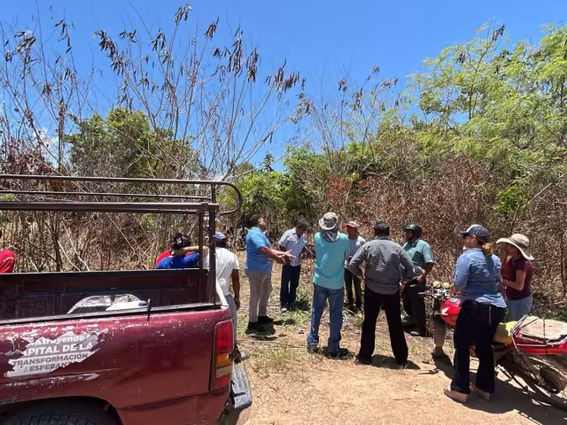 Los invasores suelen ser alentados por personas que trabajan en dependencias como Sedatu y Reforma Agraria