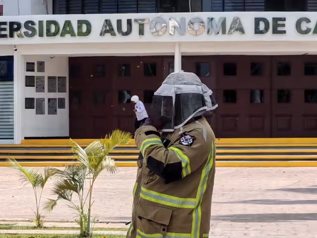 Abejas desatan pánico en la UAC: atacan a estudiante
