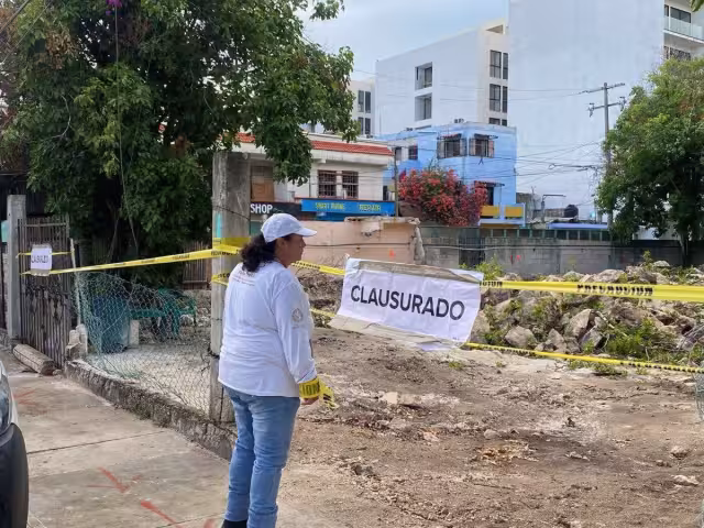 Clausuran predio por tala ilegal de árboles en Playa del Carmen
