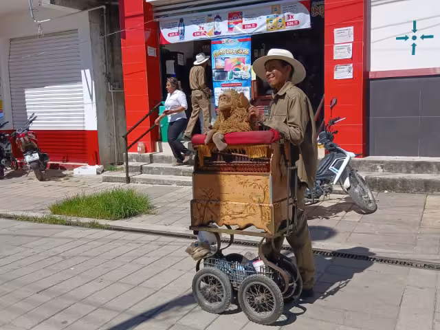 Organilleros llegan a Escárcega y causan expectación en el centro de la ciudad