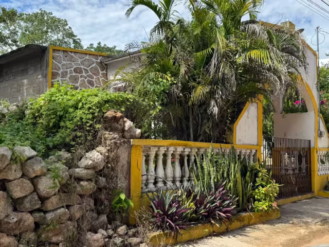 Vecinos exigen acción ante peligro que representa “Chicorita”