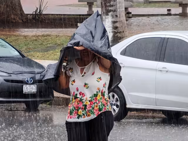 La lluvia intensa de 42 mm en dos horas provocó la caída de tres árboles y tres postes por reblandecimiento del suelo.