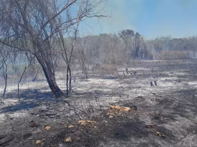 El incendio ocurrió por un descuidado manejo de basura, agravado por fuertes vientos.