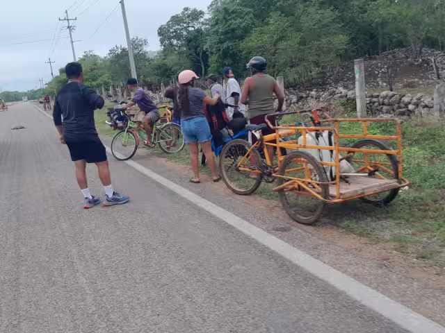 Joven motociclista termina en el hospital tras accidente con perro en carretera
