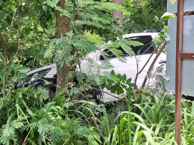 Conductor ebrio se lesiona tras chocar en carretera Escárcega–Chetumal