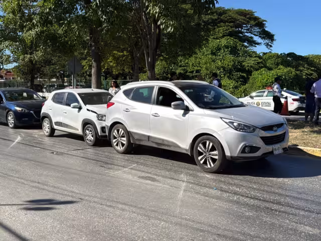 El conductor iba distraído y a exceso de velocidad, no pudo frenar a tiempo