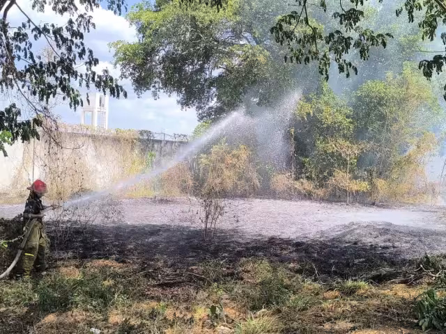 El fuego avanzó rápidamente debido a los fuertes vientos.