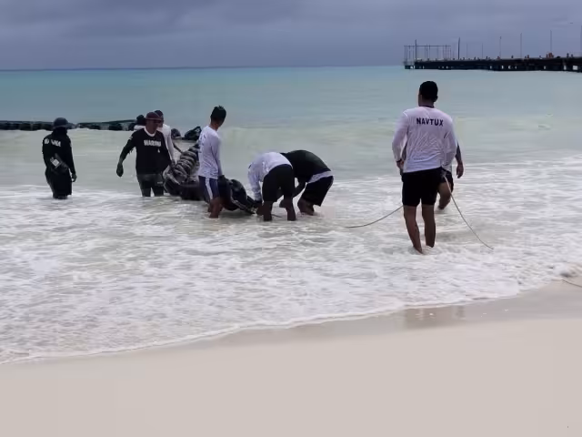 Actúan para evitar que las corrientes marinas se lleven el boyado