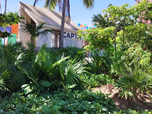 Gobierno municipal sobrepasado por problema de vagabundos.