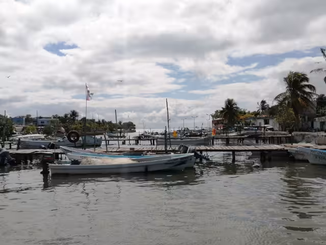 La sociedad cooperativa ostrícola “Los Tamarindos” acusaron que fueron engañados durante cinco años, pagando para que les hicieran los trámites