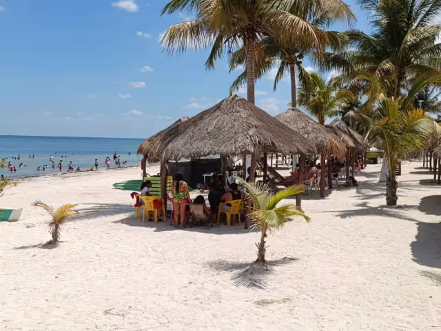 Los visitantes eran del Estado de México, Chiapas, Tabasco y Yucatán, así como de Francia, Holanda y Alemania.