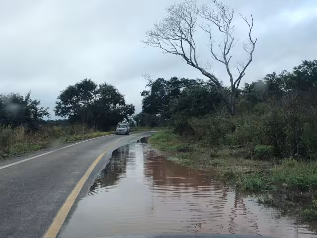 El huracán Milton no causó daños significativos en la región chenera de Campeche, solo lluvias ligeras y algunos árboles caídos