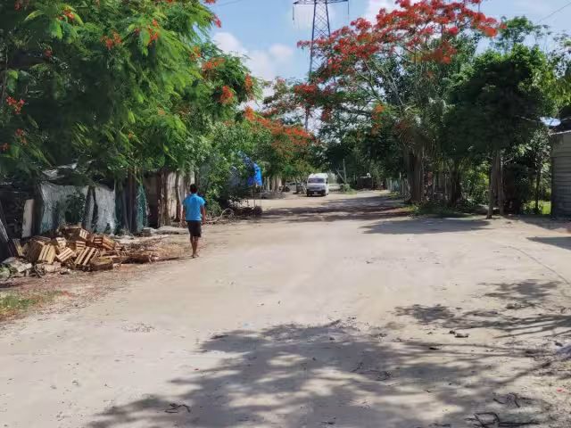 Los especialistas llevan a cabo el barrido, que fue acordado con la alcaldesa electa