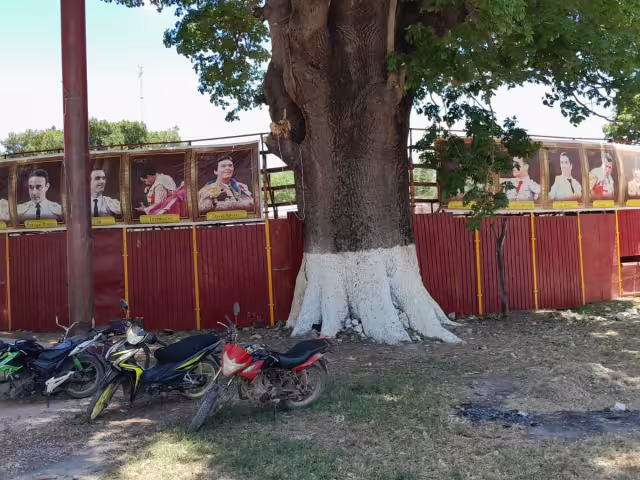 El empresario prometió una sorpresa para las mamás