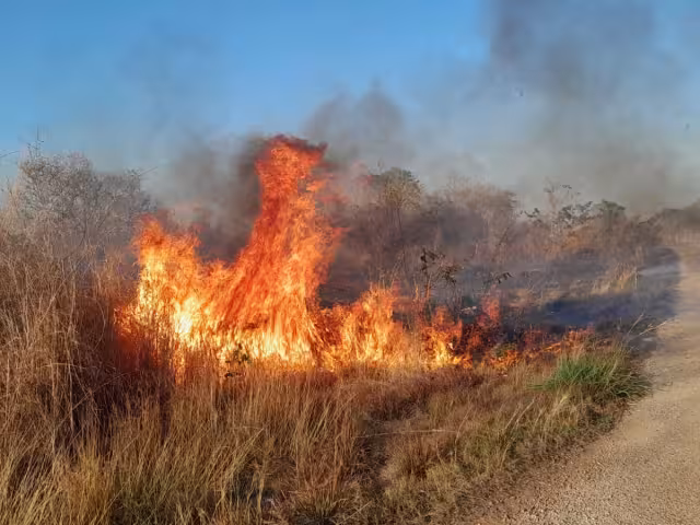 Se desconoce cuál fue el causante del incendio.
