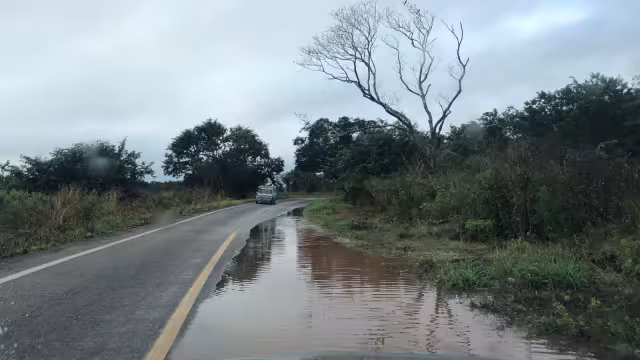 El huracán Milton no causó daños significativos en la región chenera de Campeche, solo lluvias ligeras y algunos árboles caídos