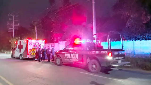 Un ciudadano francés fue encontrado maniatado y golpeado en un área verde del Arco Vial de Cancún, en la Supermanzana 106