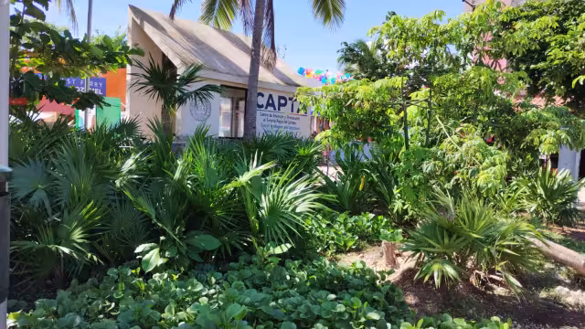 Gobierno municipal sobrepasado por problema de vagabundos.