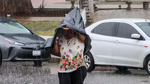 La lluvia intensa de 42 mm en dos horas provocó la caída de tres árboles y tres postes por reblandecimiento del suelo.