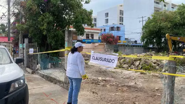 Clausuran predio por tala ilegal de árboles en Playa del Carmen