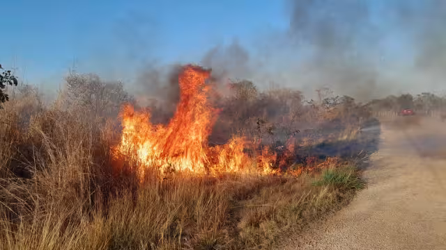 Se desconoce cuál fue el causante del incendio.