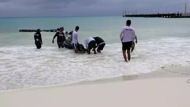Actúan para evitar que las corrientes marinas se lleven el boyado