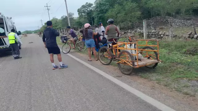 Joven motociclista termina en el hospital tras accidente con perro en carretera
