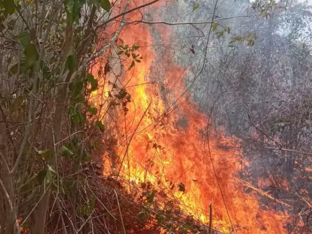 Para los incendios forestales activos hay 86 combatientes de fuego en labores