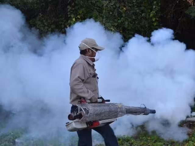 Dengue y control de mosquitos: ¿qué tan tóxicos son los métodos de fumigación?