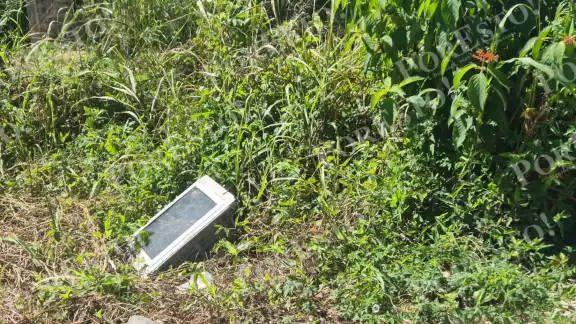 Vecinos denuncian lote baldío abandonado en la colonia La Cruz, en Champotón. Vecinos denuncian lote baldío abandonado en la colonia La Cruz, en Champotón.