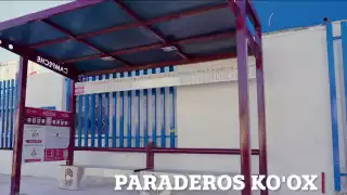 Nuevo transporte "Ko'ox" en Campeche podrá cruzar áreas inundadas: ¿Cuánto costará el pasaje?