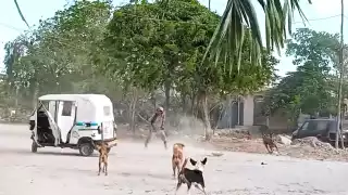 Reunión amistosa termina violenta: Mototaxista de Playa del Carmen intenta arrollar a su amigo (VIDEO)