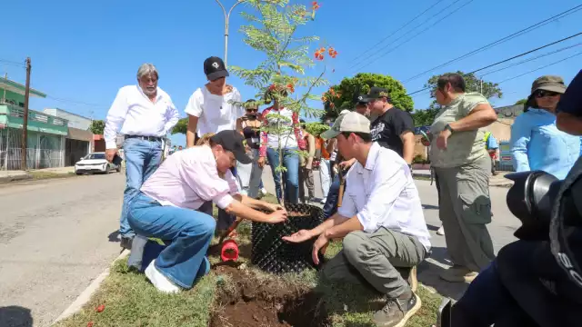 La munícipe dijo que desde que arrancó su administración fue clara en que la Mérida Verde sería eje central en la toma de decisiones en la ciudad