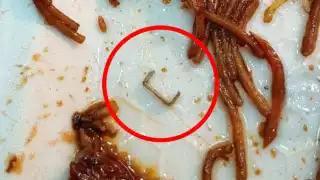  “Me salieron cinco grapas en la pasta”: Alertan por riesgos sanitarios en restaurante de centro comercial en Mérida  